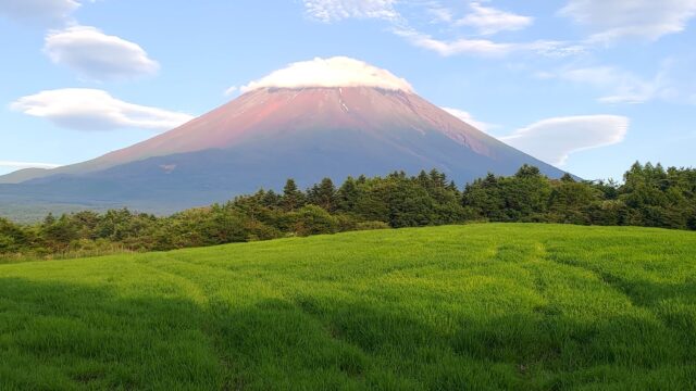 富士山