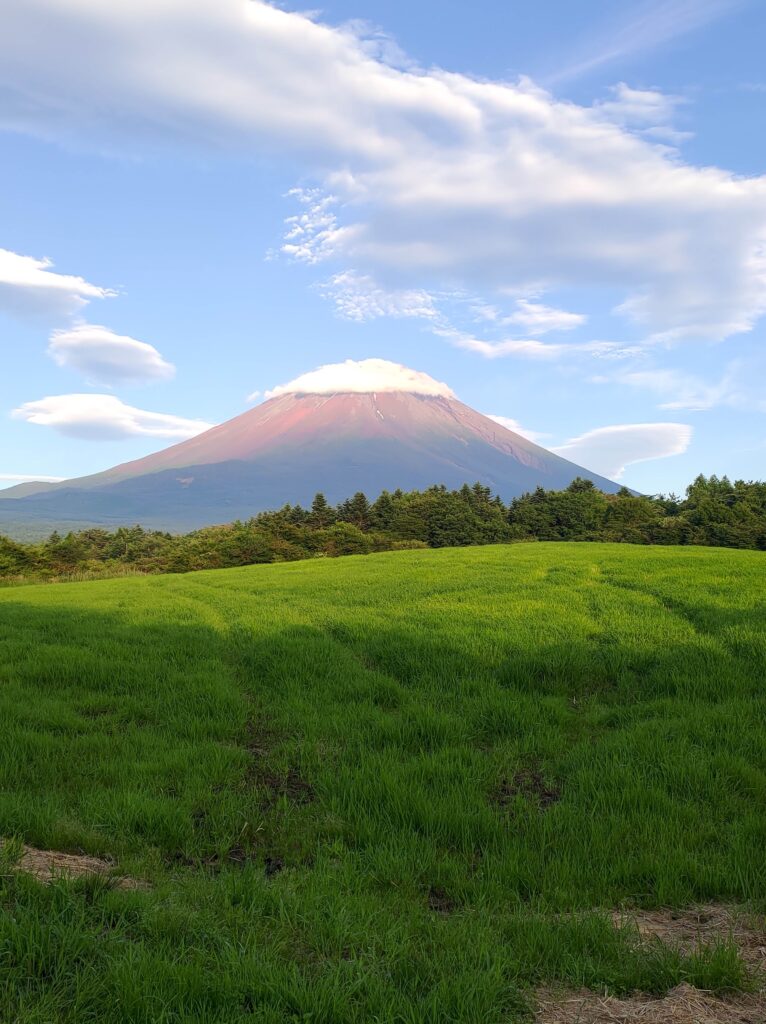 富士山　朝霧