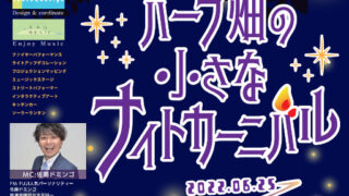 河口湖ハーブフェスティバル　八木崎公園　ハーブ畑の小さなナイトカーニバル