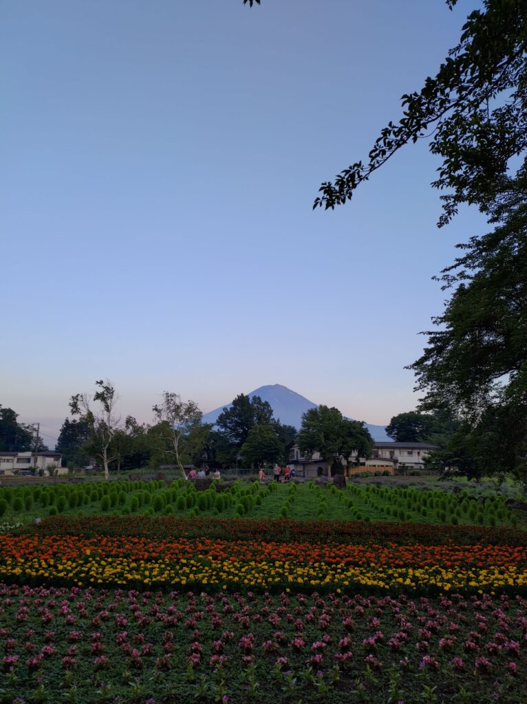 河口湖ハーブフェスティバル　八木崎公園　ハーブ畑の小さなナイトカーニバル