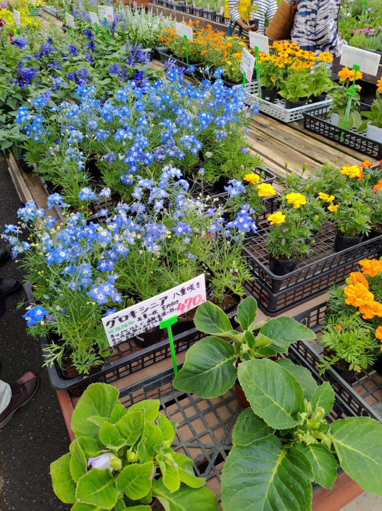 原村　たてしな自由農園