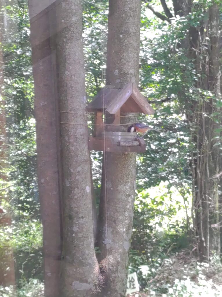 風待山荘　エサ台