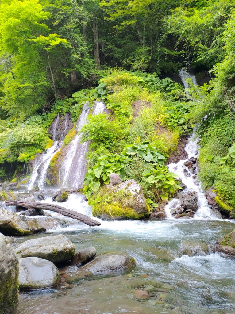 吐竜の滝