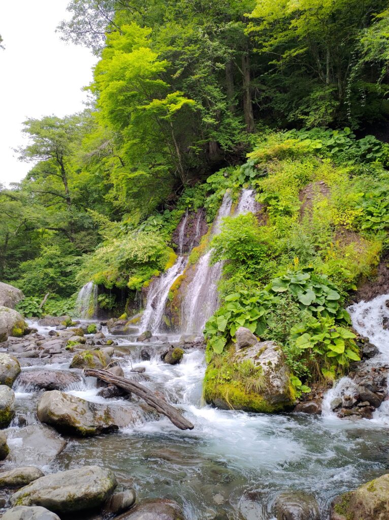 吐竜の滝