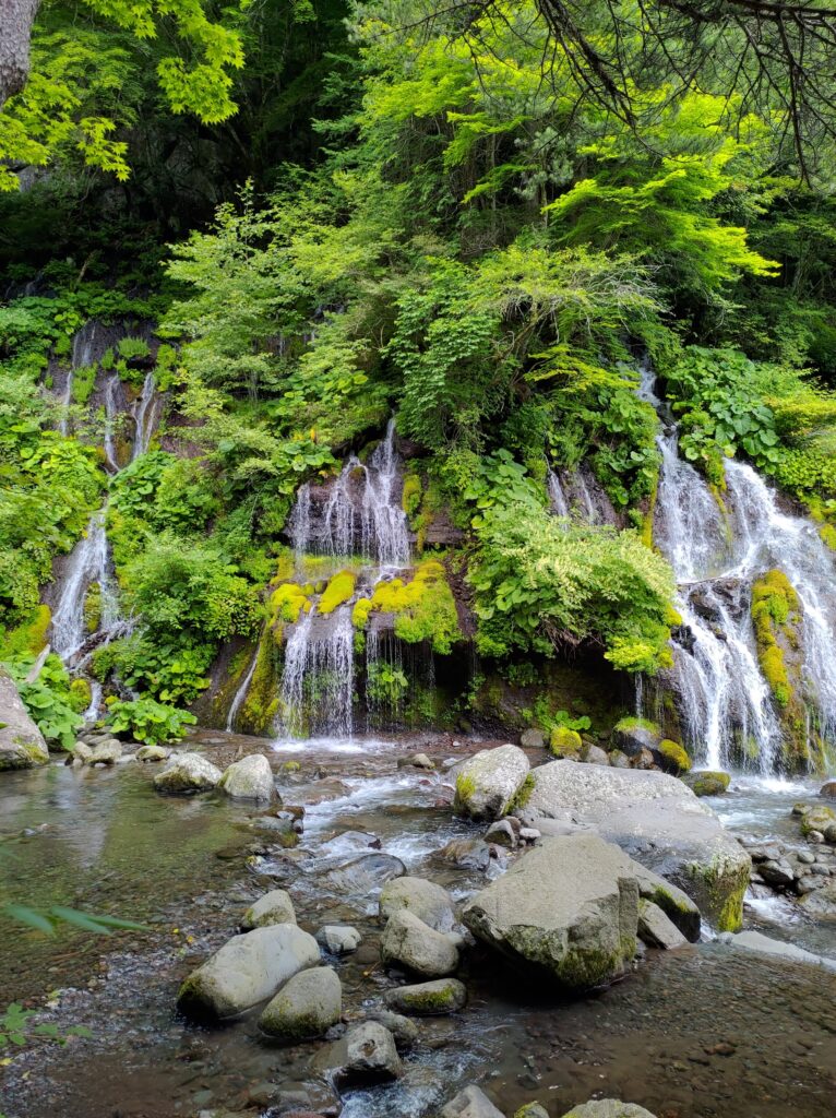 吐竜の滝