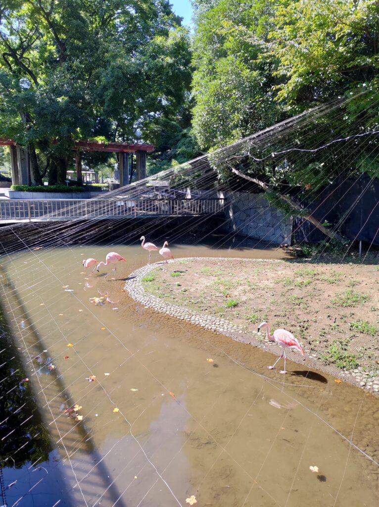 万力公園