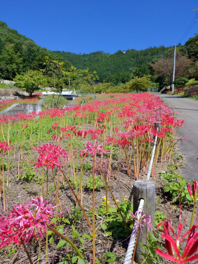 塩山ふれあいの森総合公園