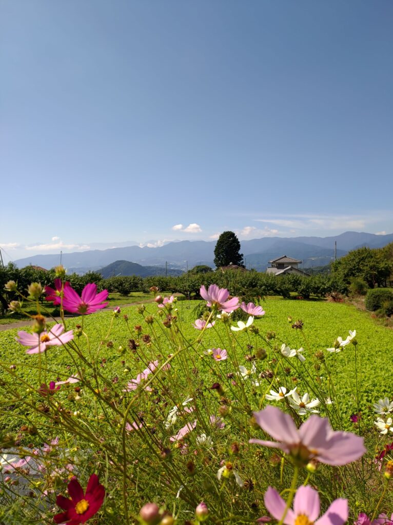 慈雲寺