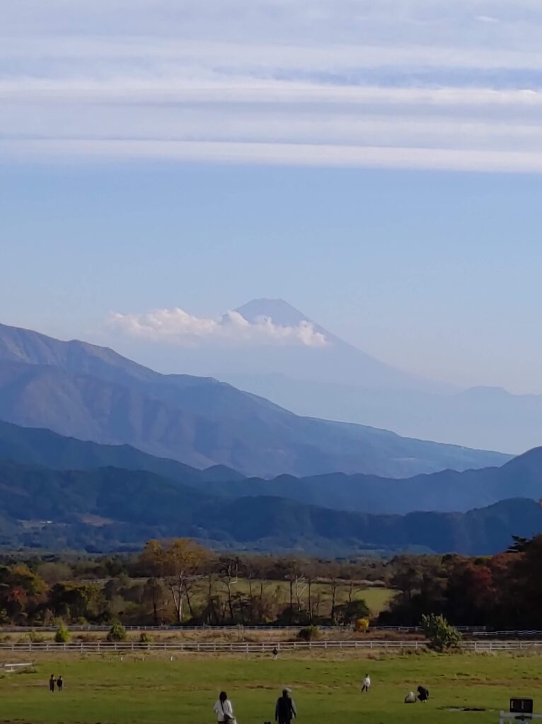 清泉寮