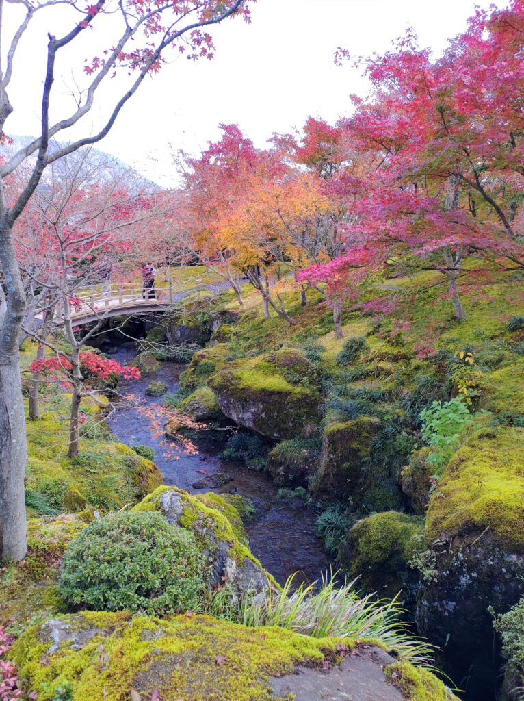 箱根美術館
