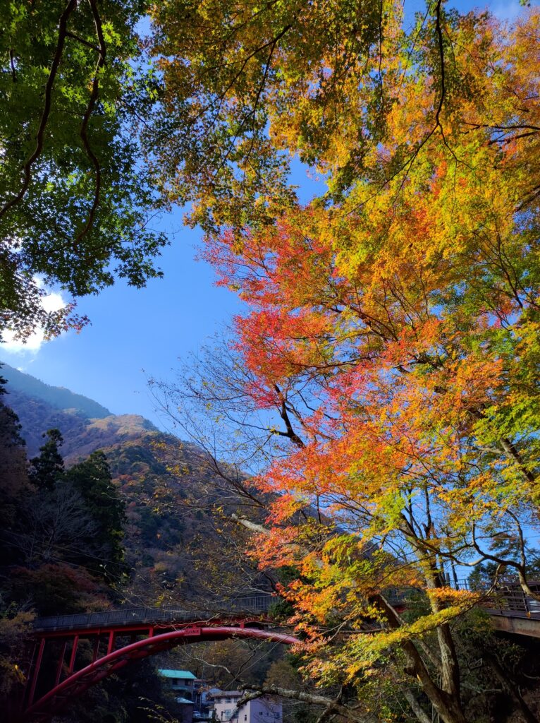 羽衣白糸の滝
