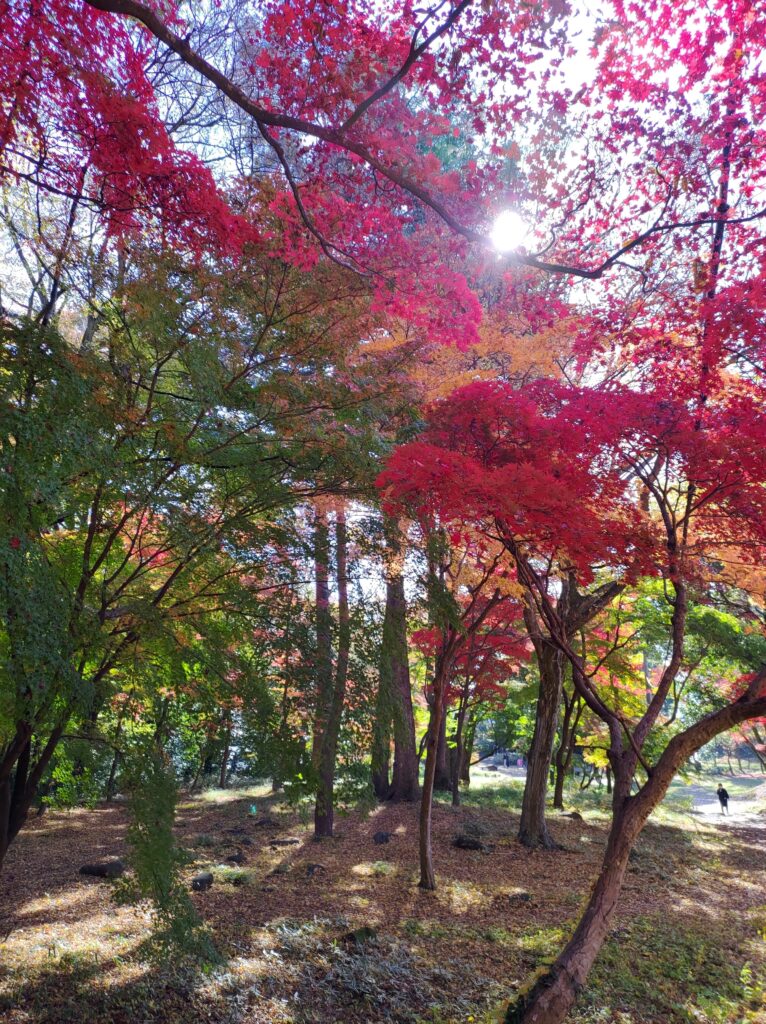 武田神社