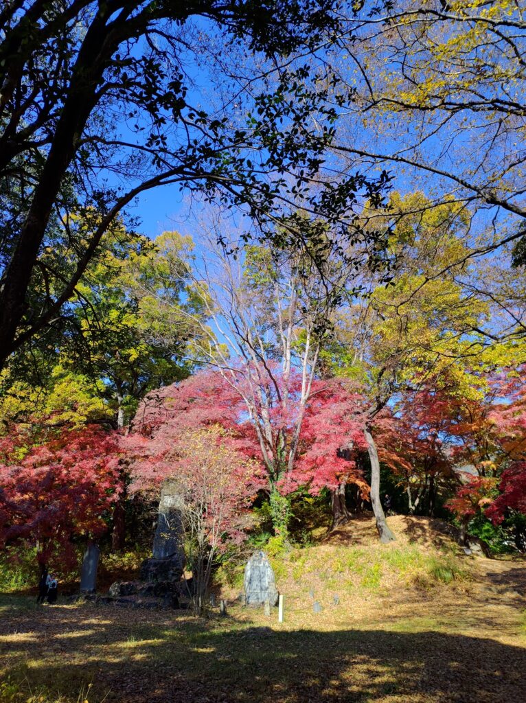 武田神社