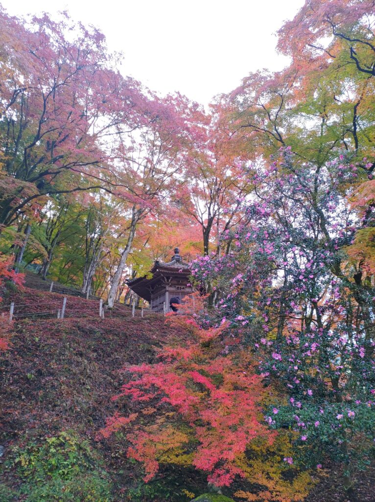 香嵐渓